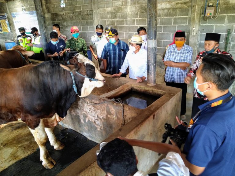 Metode MHI Inovatif dan Inspiratif, Produksi Padi 12 Ton Per Hektar