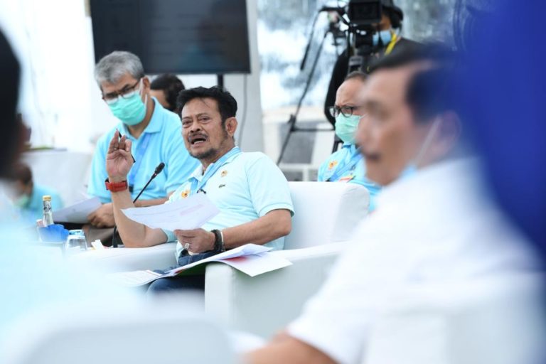Mentan Paparkan Perkembangan Sektor Pertanian di Rakorpim Komite PC-PEN K/L 2020