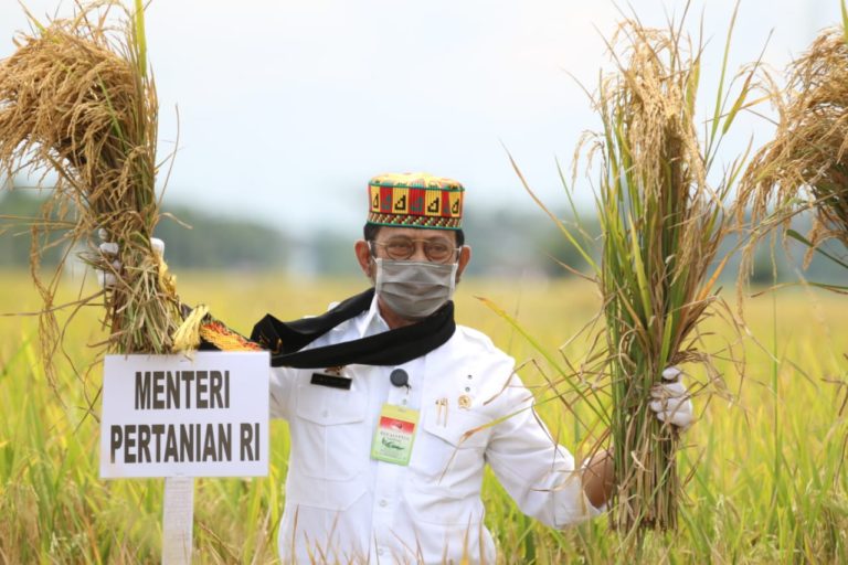 Mentan SYL Panen Padi di Aceh Besar