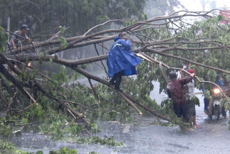 Warga Depok Diminta Waspada Banjir, Longsor dan Pohon Tumbang