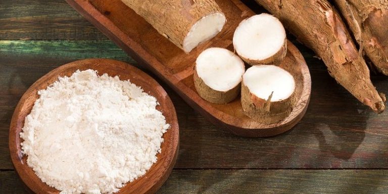 Pemerintah Canangkan Sagu Sebagai Gerakan Diversifikasi Pangan Sehat