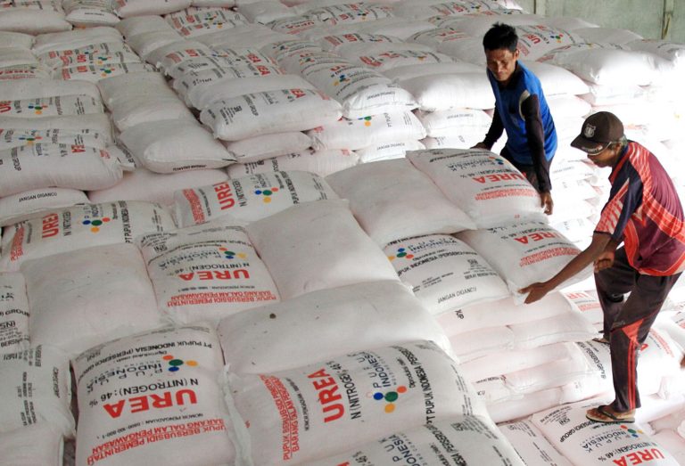 Kuota Pupuk Subsidi Tambahan di Pati Sudah Didistribusikan