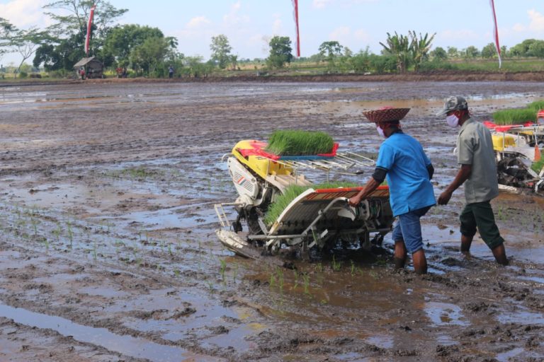 UU Cipta Kerja Diklaim Perkuat Produksi Pangan Dalam Negeri