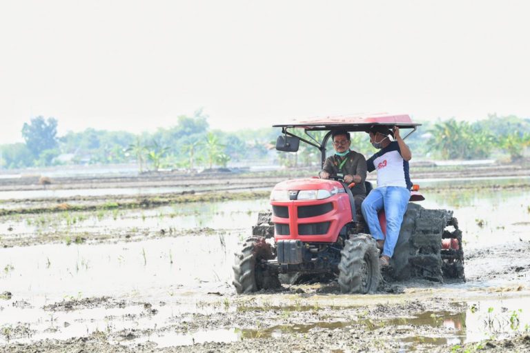 Oktober 2020, Kementan Dorong Daerah Lakukan Percepatan Tanam Padi
