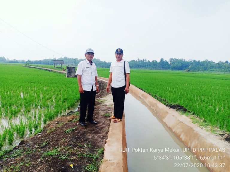 RJIT Ditjen PSP Airi 50 Ha Lahan di Lore Selatan Poso