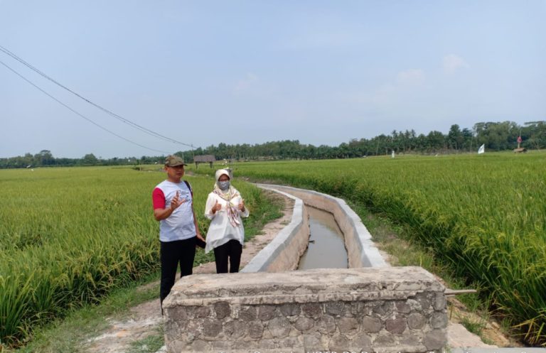 Dengan RJIT, Ditjen PSP Dukung Pertanian di Palas Lampung Selatan