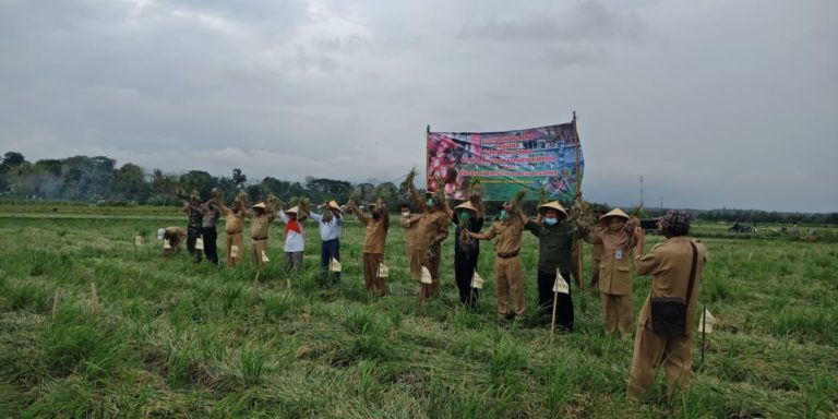 Kementan Dorong Korporasi Petani Bawang Merah di Kulonprogo