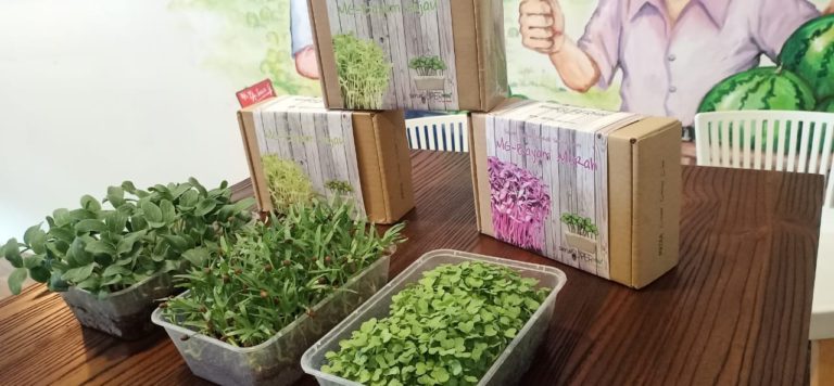 Makin Diminati Masyarakat Perkotaan, Kementan Gairahkan Budidaya Urban Farming