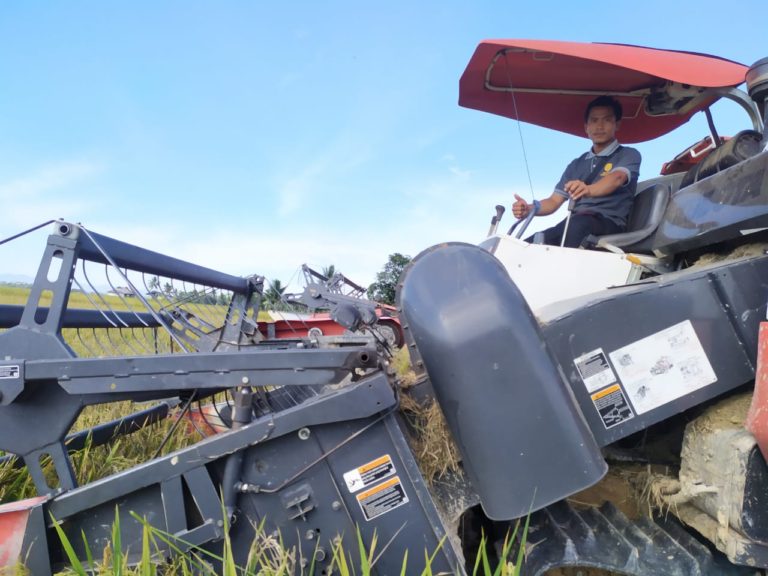 Potensi Raup Rp20 Miliar Sekali Musim Tanam, Ali Optimistis Terjun di Pertanian