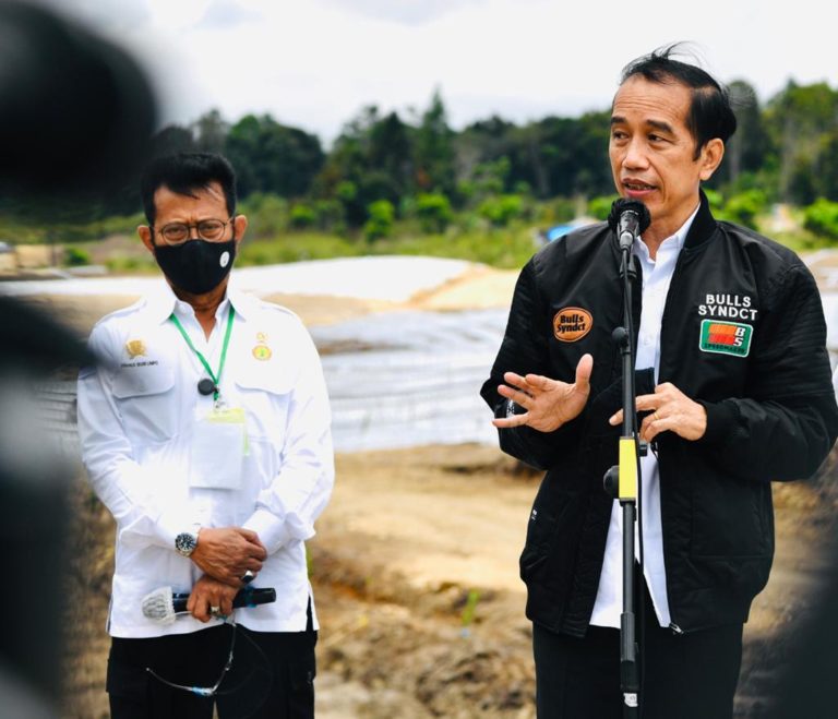 Presiden Jokowi Didampingi Mentan SYL Tinjau Food Estate di Kabupaten Humbahas