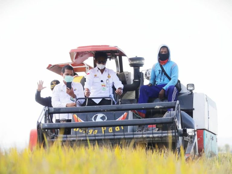 Stok Beras Melimpah, Mentan Syahrul Sampaikan Terimakasih Atas Kerjakeras Para Petani