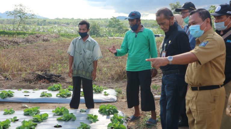 Petani Milenial Berjuang Entaskan Rentan Rawan Pangan