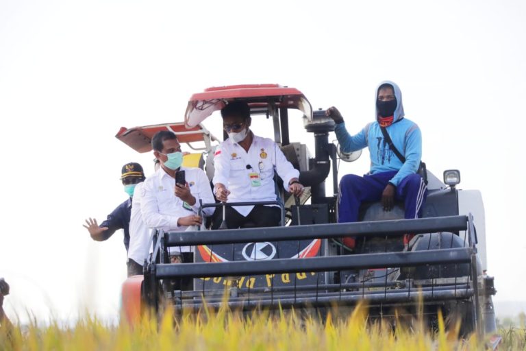 Panen Padi di Konawe Selatan, Mentan SYL: Jadilah Pejuang Pertanian