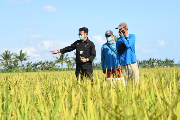Kementan Minta Pemda Siapkan Diri Hadapi Bencana La Nina