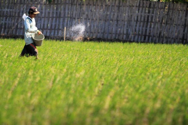 Kementan Tingkatkan Pengawasan Peredaran Benih secara Online
