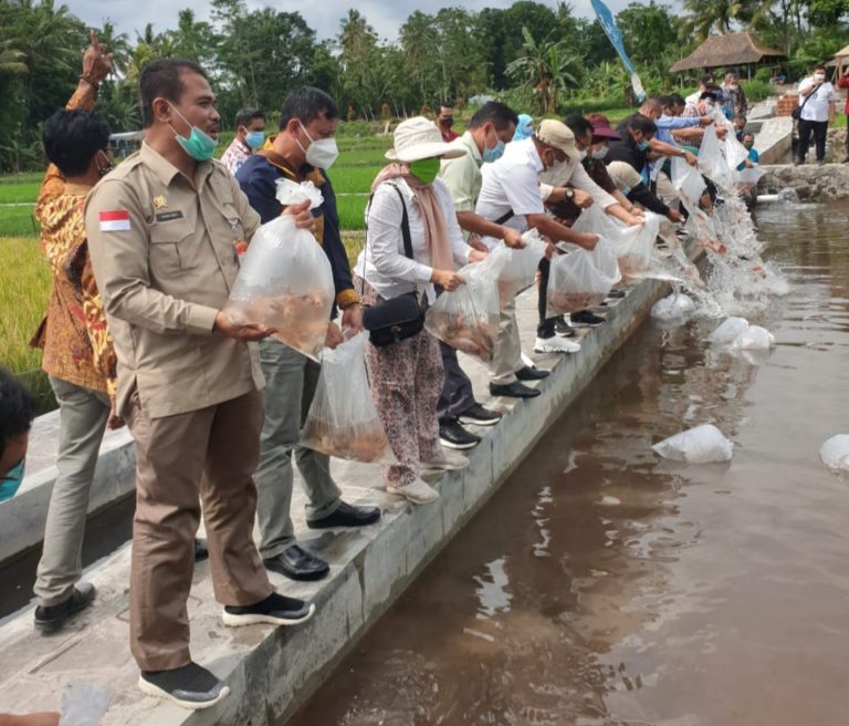 Datangi Kawasan Mina Padi, Komisi IV DPR dan Kementan Ingin Sleman Menjadi Model Pembudidayaan