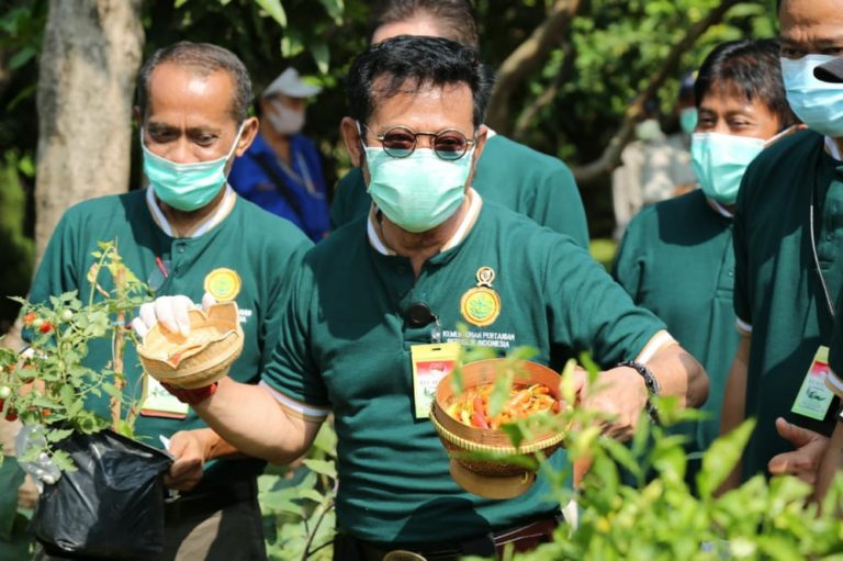 Hari Pangan Sedunia 2020, Petani Muda dan Kementan Serukan Gerakan Berkebun
