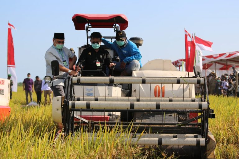 Akademisi: Sektor Pertanian Masih Akan Tumbuh di Kuartal Berikutnya