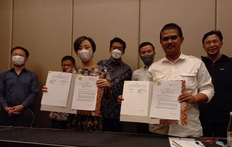 Kementan Jalin Kerjasama Optimalkan Pemenuhan Jagung Rendah Aflatoxin