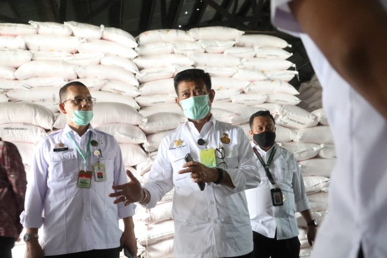 Mentan Minta Sinergi Antar Pemerintah Daerah Diperkuat soal Pangan