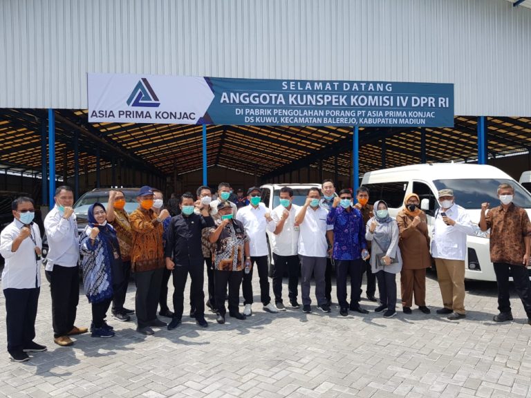 Ekspor Melejit, Komisi IV DPR RI Dukung Kementan Kembangkan Porang