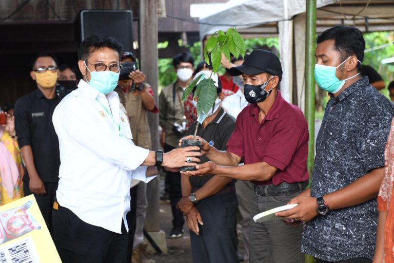 Ini Rencana Jangka Panjang Pertanian dari Kementan di Soppeng