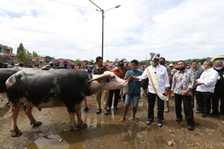 Mentan Syahrul Pantau Aktivitas Jual Beli Pasar Ternak Tallunglipu