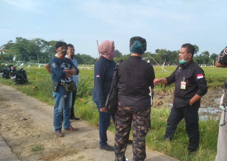 Inovatif dan Inspiratif, Kementan Dorong Pengembangan Budidaya Padi IP400