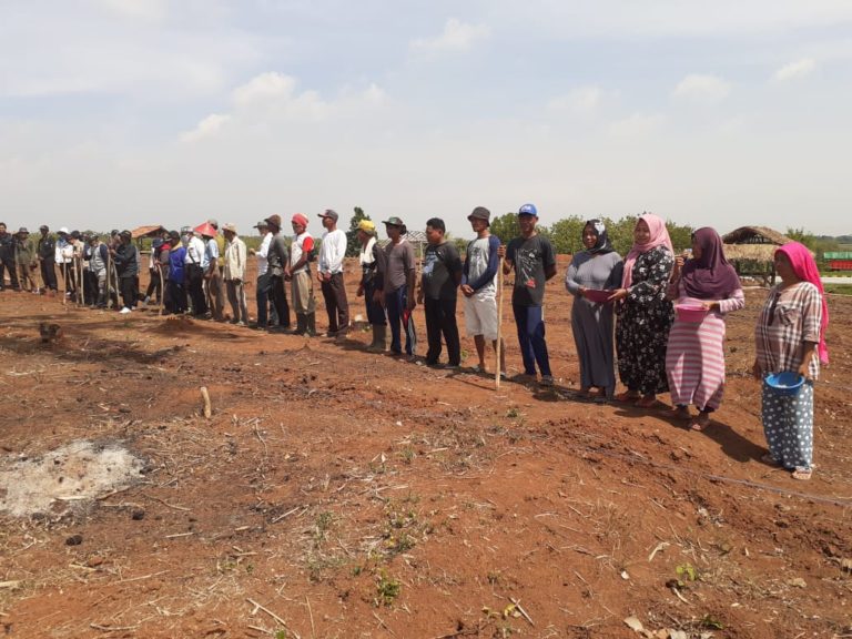 Kementan Dukung Purwakarta Tanam Padi Gogo di Lahan Eks Tebangan