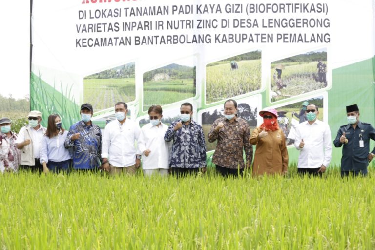 Kunjungi Pemalang, Komisi IV DPR Apresiasi Program Kementan Atasi Stunting