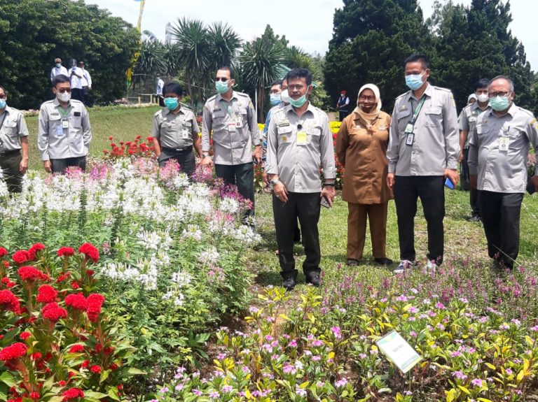 Kementan Pacu Inovasi Tanaman Hias Untuk Ekspor