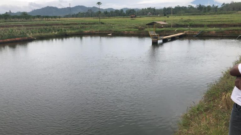 Embung Kementan Penuhi Kebutuhan Air untuk Pertanian di Pringsewu
