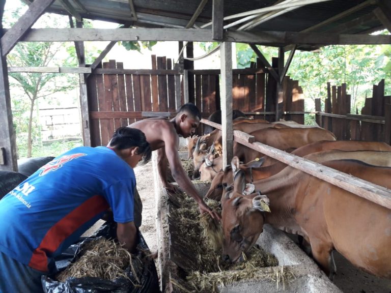 Pertamina Bina Lebih dari 7500 UMKM Sektor Perikanan dan Peternakan