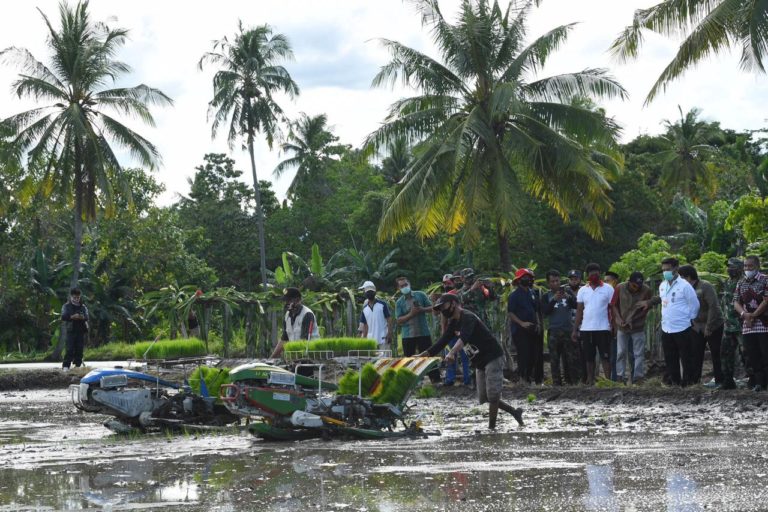 Kementan Targetkan Soppeng Tanam Panen 4 Kali Setahun