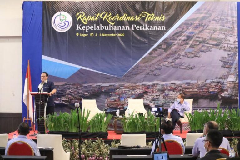 Pelabuhan yang ideal dorong peningkatan kinerja ekonomi sektor perikanan