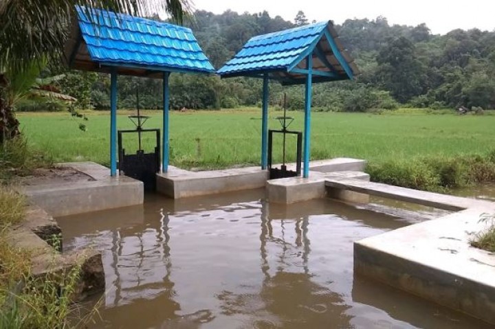 Pertanian Desa Teupin Breuh Aceh Timur Dapat Bantuan Dam Parit