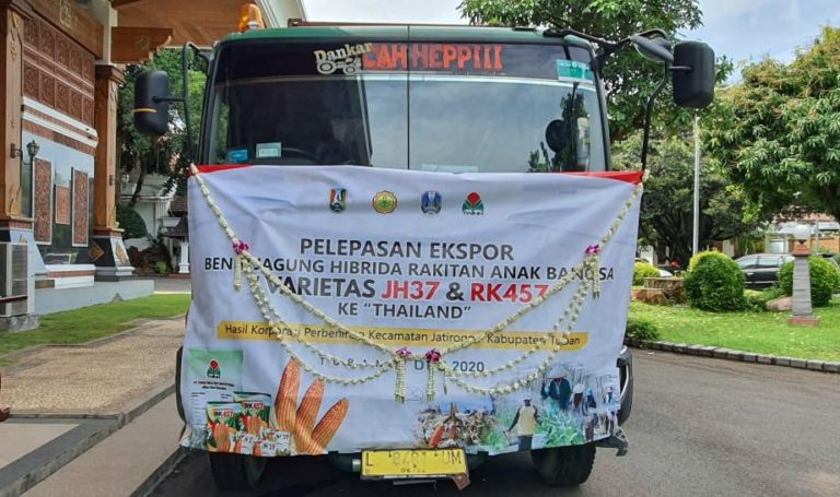 Kementan Lepas Ekspor Benih Jagung Hibrida ke Thailand