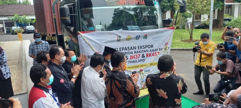 Kabupaten Tuban Ekspor Jagung Varietas Hasil Karya Anak Bangsa