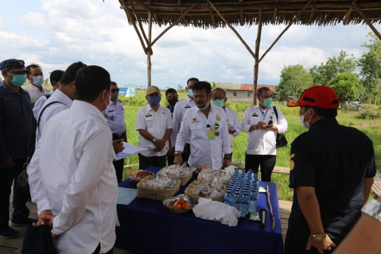 Mentan Pacu Produksi Hingga Hilirisasi Beras di Food Estate Kalteng