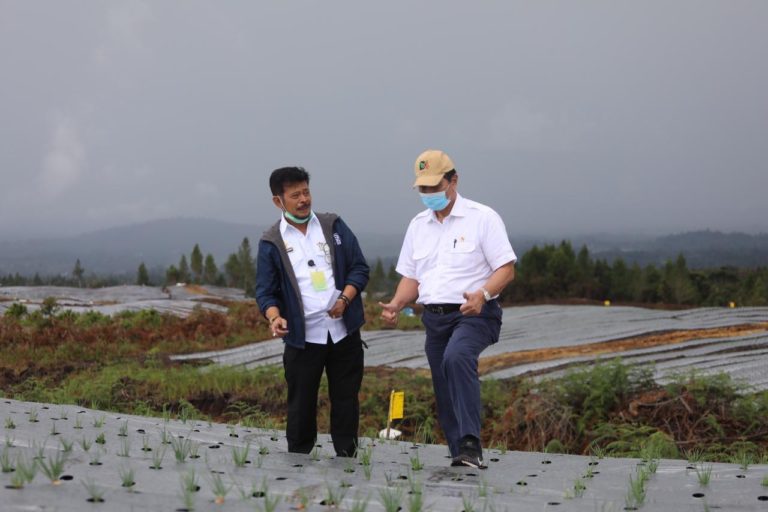 Dampingi Luhut Tinjau Perkembangan Food Estate Humbahas, Mentan SYL: Januari InsyaAllah Penanaman Sudah Selesai