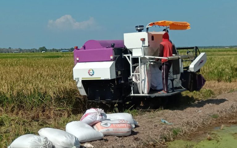 Berkat Bantuan Kementan, UPJA Karya Bersama Demak Sukses Kelola Mesin Panen