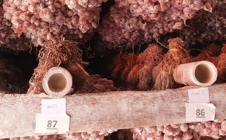 Kemandirian Benih, Tonggak Berdikarinya Petani