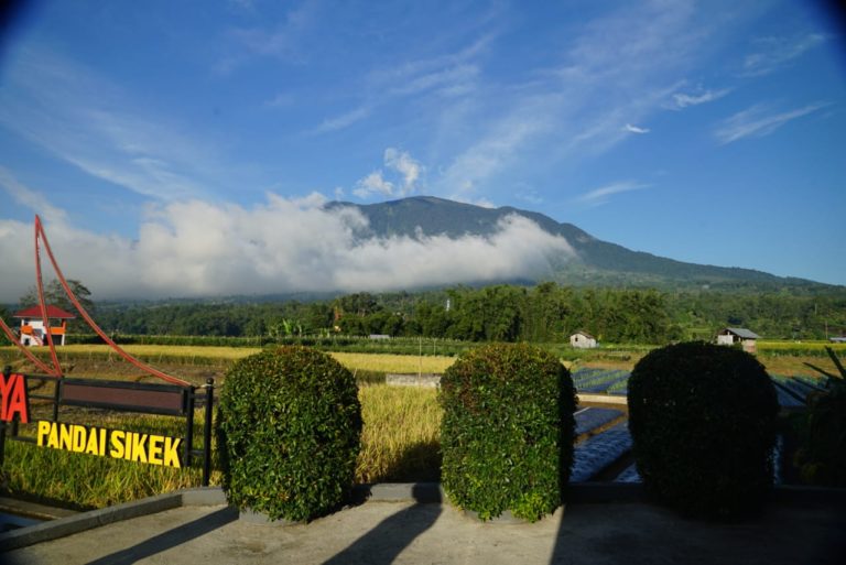 Pacu Pertumbuhan Ekonomi, BKP Kementan Dorong Pengembangan Agroeduwisata Le Marsi 