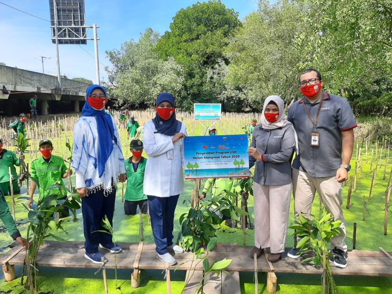Bank DKI Tanam 5000 Bibit Mangrove di Pantai Utara Jakarta