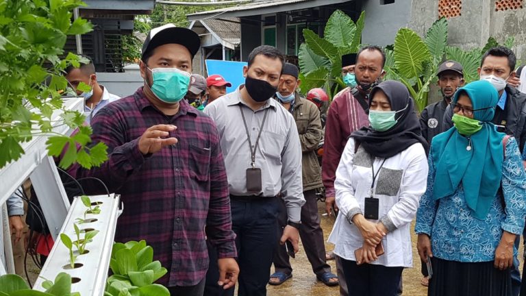 Jamkrindo Gelar Pelatihan Budidaya Holtikultura Hidroponik di Sukabumi