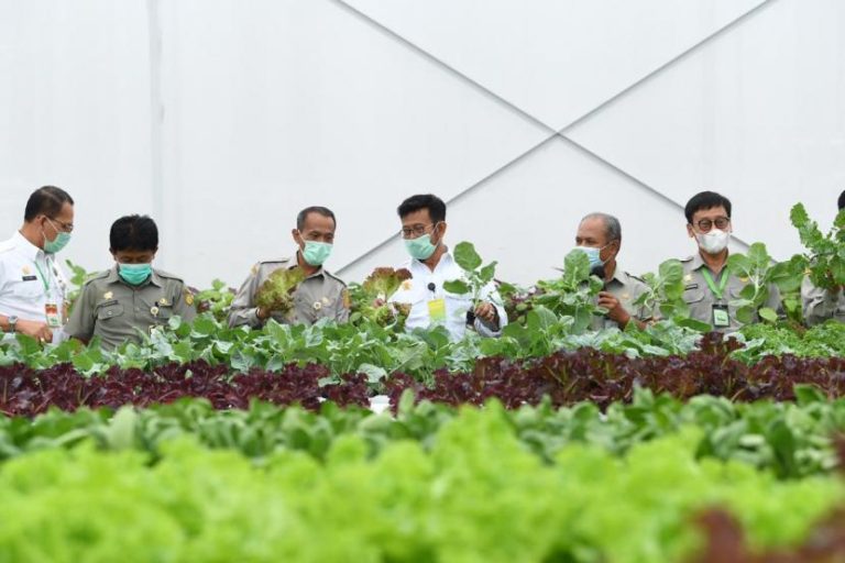 Peneliti UI: Sektor Pertanian Tidak Boleh Dipandang Sebelah Mata