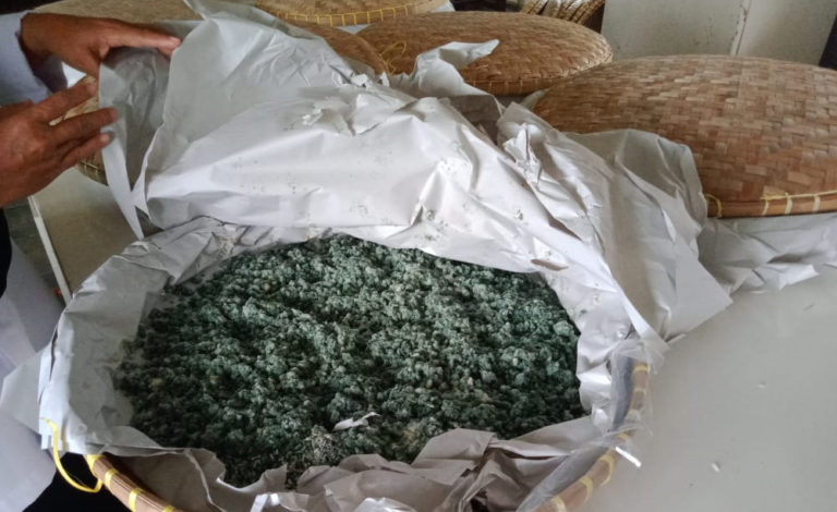 Petani Kalbar Manfaatkan Agens Hayati, Solusi Pengendalian OPT Ramah Lingkungan