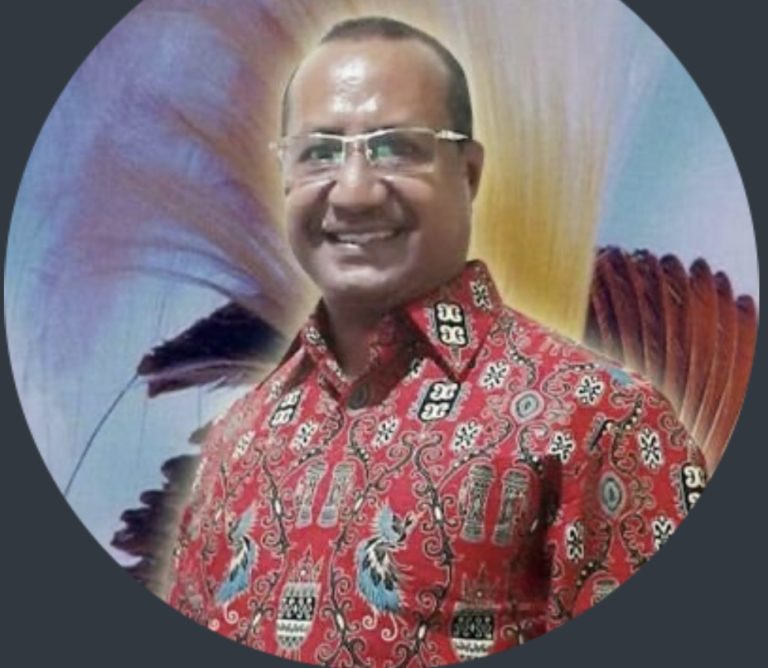 Drone Asing Masuk RI, Tokoh Papua Sebut Pemerintah Malah Sibuk Bubarin Ormas