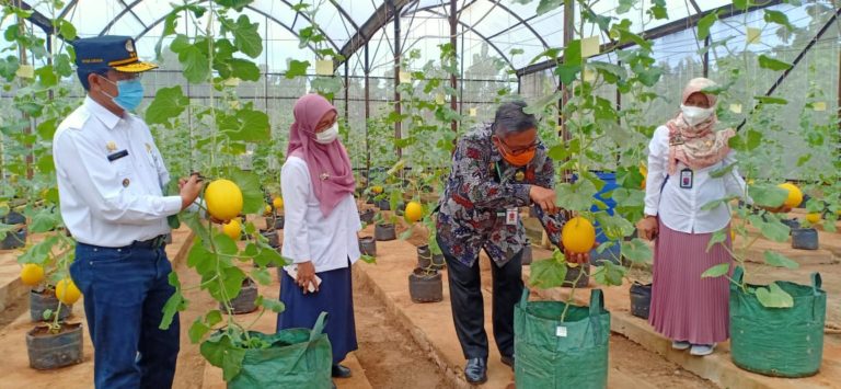 Yuk ke Agroeduwisata Kebun Bibit Cilangkap, Destinasi Wisata Pertanian Ibu Kota