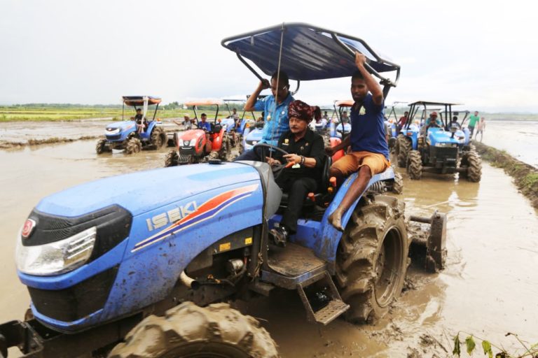 Diguyur Hujan, Mentan SYL Tinjau Food Estate Sumba Tengah